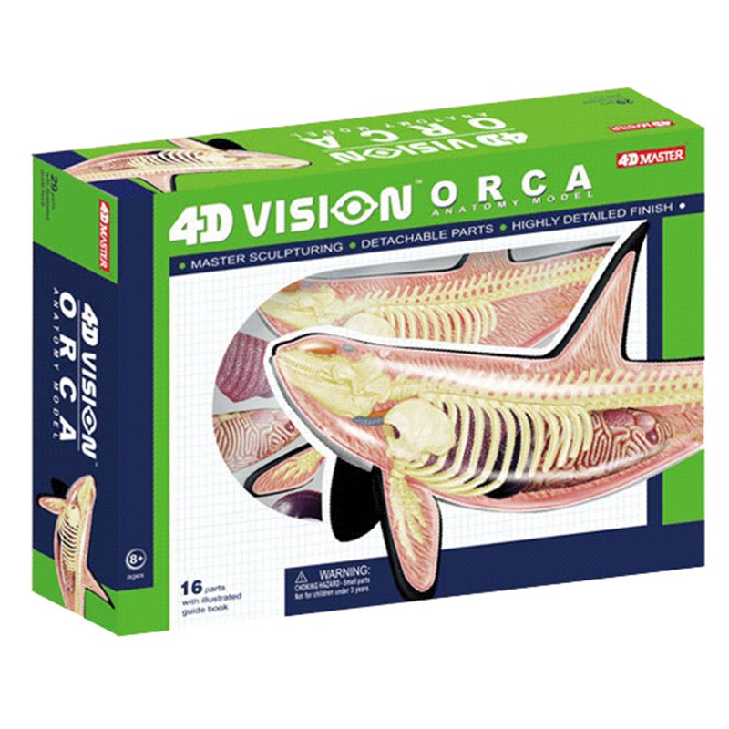4D Vision Orca baleine squelet - Medical Lab Technology avis et prix